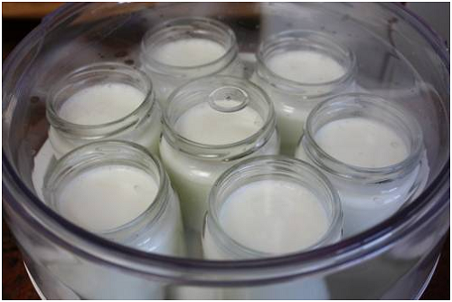 Cách ủ sữa chua làm từ sữa công thức dành cho bé