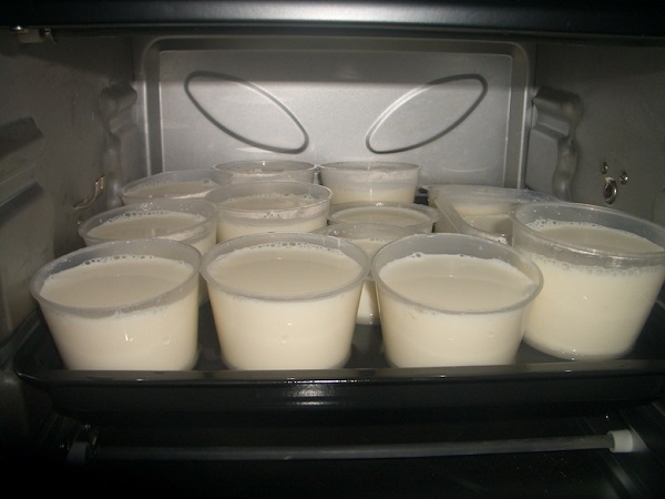 Bảo quản sữa chua thơm ngon trong tủ lạnh