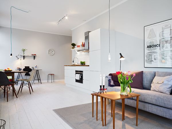 Thiết kế nội thất căn hộ 1 phòng theo phong cách Scandinavia - Căn hộ nhỏ hẹp - Ảnh 3