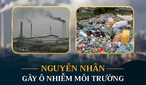 ô nhiễm môi trường