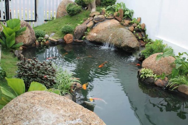 thiết kế sân vườn biệt thự có hồ cá koi